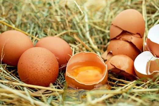 Cracked brown eggs — the thin membrane sits just inside the shell